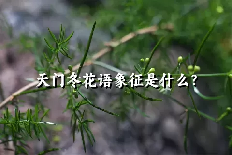 天门冬花语象征是什么？