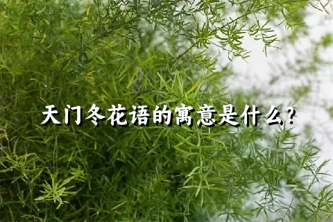 天门冬花语的寓意是什么？