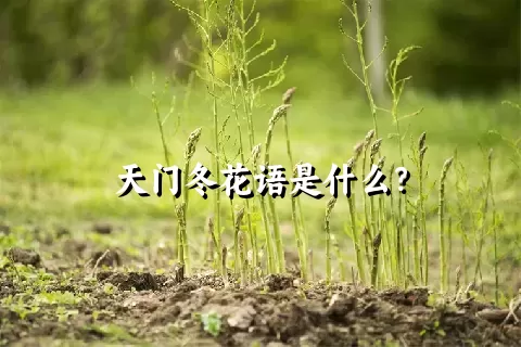 天门冬花语是什么？