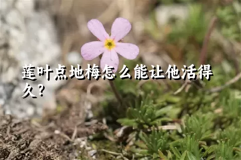 莲叶点地梅怎么能让他活得久？