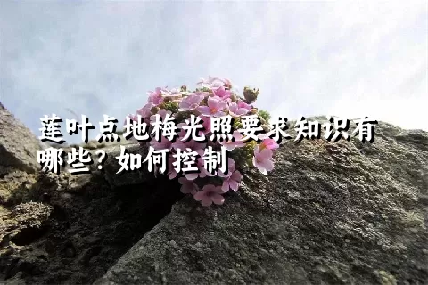 莲叶点地梅光照要求知识有哪些？如何控制