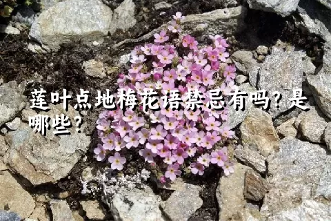 莲叶点地梅花语禁忌有吗？是哪些？