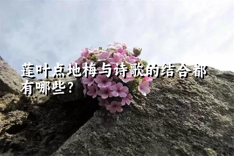 莲叶点地梅与诗歌的结合都有哪些？