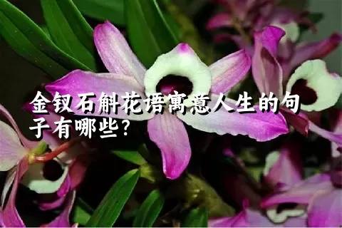 金钗石斛花语寓意人生的句子有哪些？