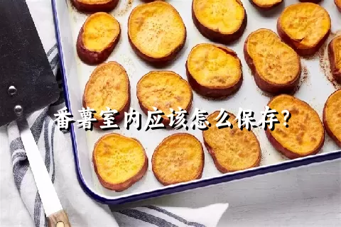 番薯室内应该怎么保存？