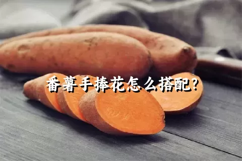 番薯手捧花怎么搭配？