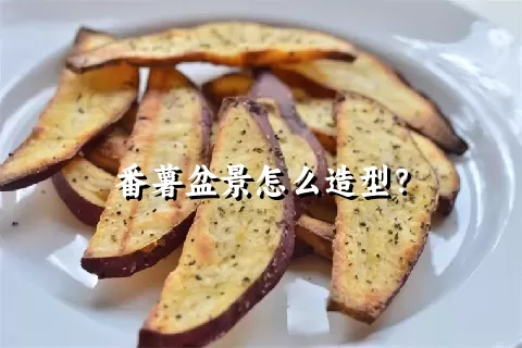 番薯盆景怎么造型？