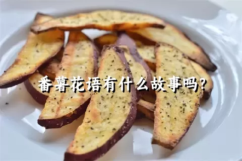 番薯花语有什么故事吗？