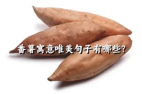 番薯寓意唯美句子有哪些？