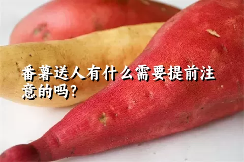 番薯送人有什么需要提前注意的吗？