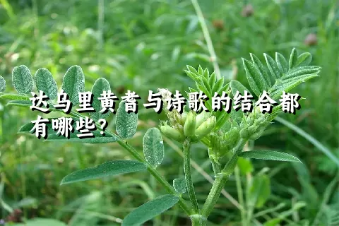 达乌里黄耆与诗歌的结合都有哪些？