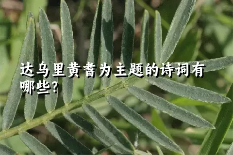 达乌里黄耆为主题的诗词有哪些？