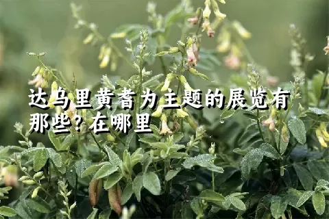 达乌里黄耆为主题的展览有那些？在哪里