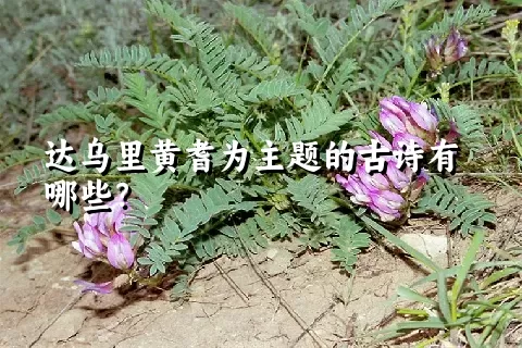 达乌里黄耆为主题的古诗有哪些？