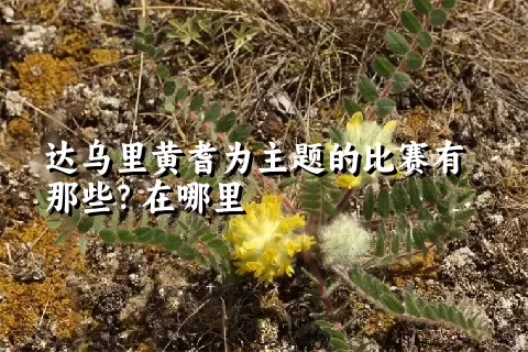 达乌里黄耆为主题的比赛有那些？在哪里