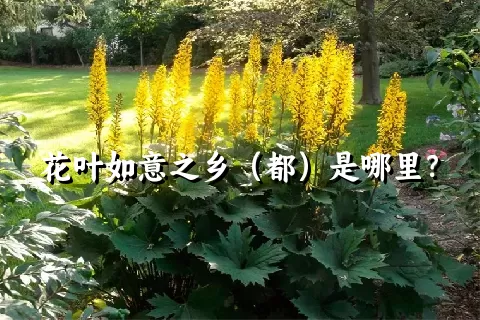 花叶如意之乡（都）是哪里？