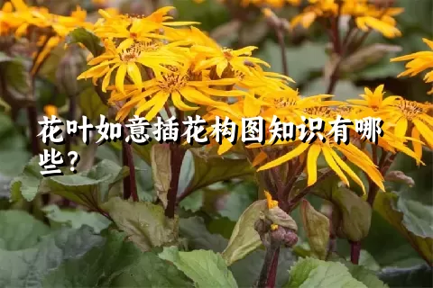 花叶如意插花构图知识有哪些？