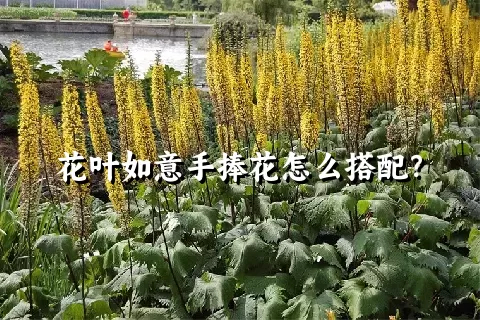 花叶如意手捧花怎么搭配？