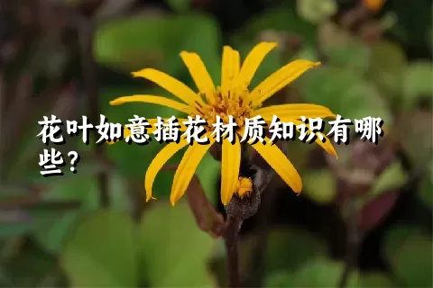 花叶如意插花材质知识有哪些？