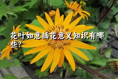 花叶如意插花意义知识有哪些？