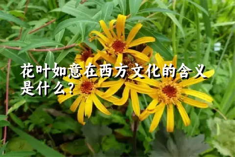 花叶如意在西方文化的含义是什么？