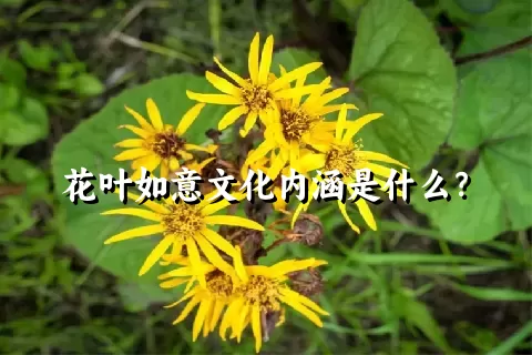 花叶如意文化内涵是什么？