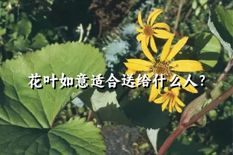 花叶如意适合送给什么人？