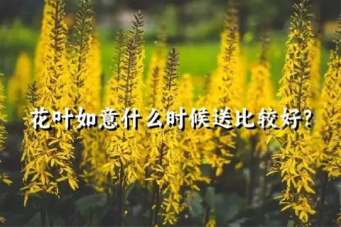 花叶如意什么时候送比较好？