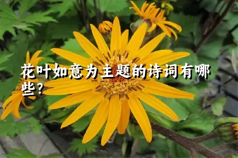 花叶如意为主题的诗词有哪些？