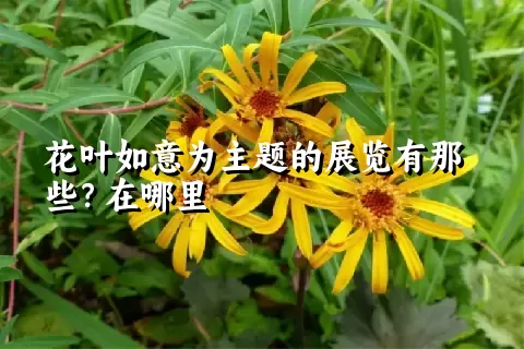 花叶如意为主题的展览有那些？在哪里