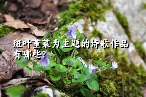 斑叶堇菜为主题的诗歌作品有哪些？