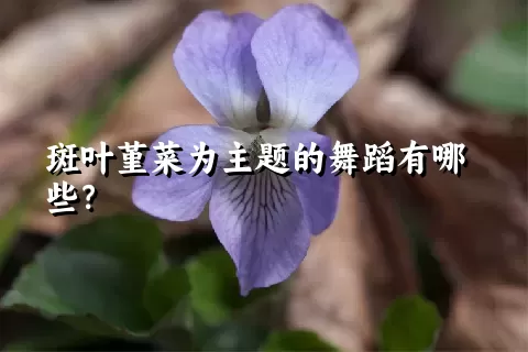 斑叶堇菜为主题的舞蹈有哪些？