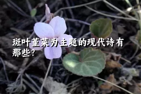 斑叶堇菜为主题的现代诗有那些？