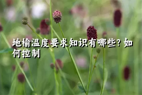 地榆温度要求知识有哪些？如何控制