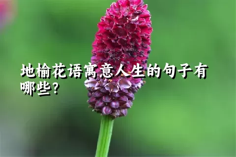 地榆花语寓意人生的句子有哪些？