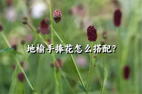 地榆手捧花怎么搭配？