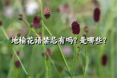 地榆花语禁忌有吗？是哪些？