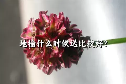 地榆什么时候送比较好？