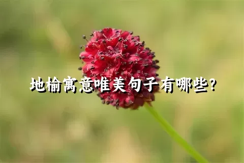 地榆寓意唯美句子有哪些？