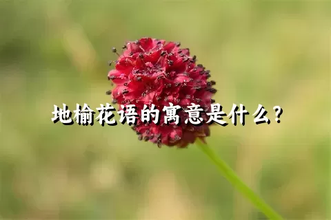 地榆花语的寓意是什么？