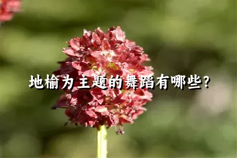 地榆为主题的舞蹈有哪些？