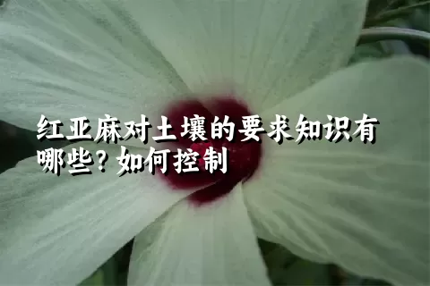 红亚麻对土壤的要求知识有哪些？如何控制