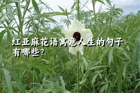 红亚麻花语寓意人生的句子有哪些？