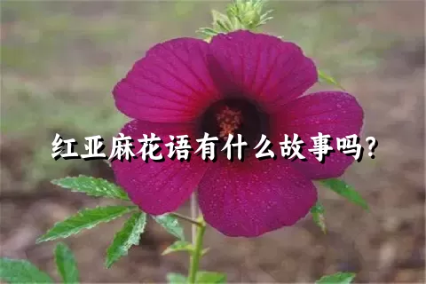 红亚麻花语有什么故事吗？