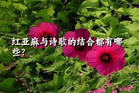 红亚麻与诗歌的结合都有哪些？