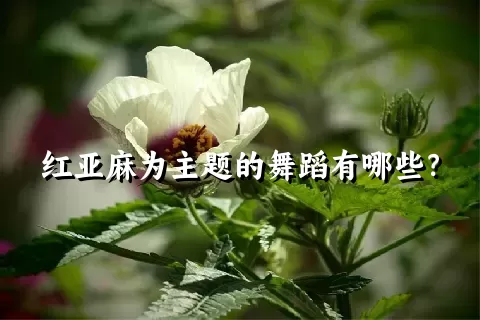 红亚麻为主题的舞蹈有哪些？