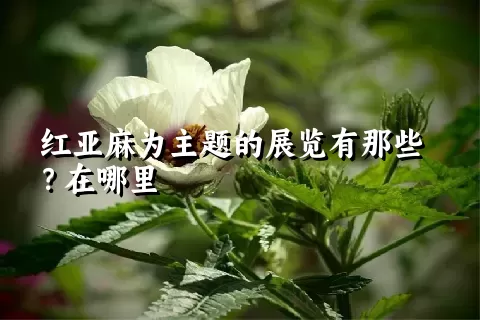 红亚麻为主题的展览有那些？在哪里