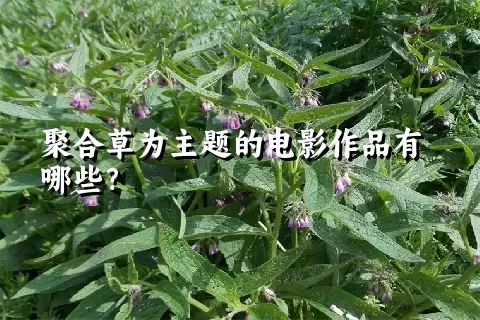 聚合草为主题的电影作品有哪些？