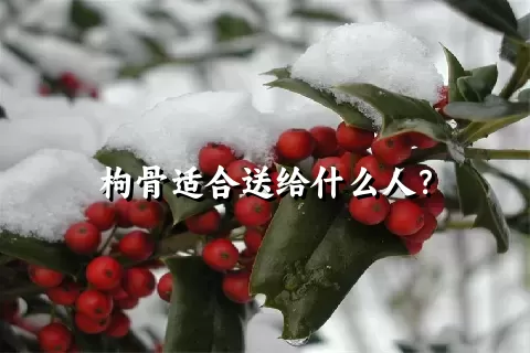 枸骨适合送给什么人？