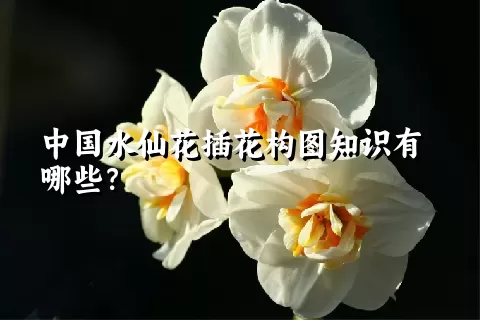 中国水仙花插花构图知识有哪些？